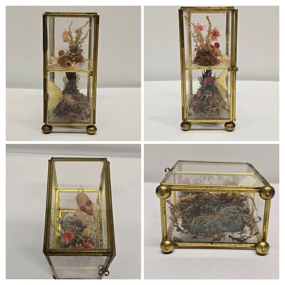 Vintage Taxidermy Butterfly Dried Flowers Terrarium Diorama Glass Display Case - Picture 6 of 8